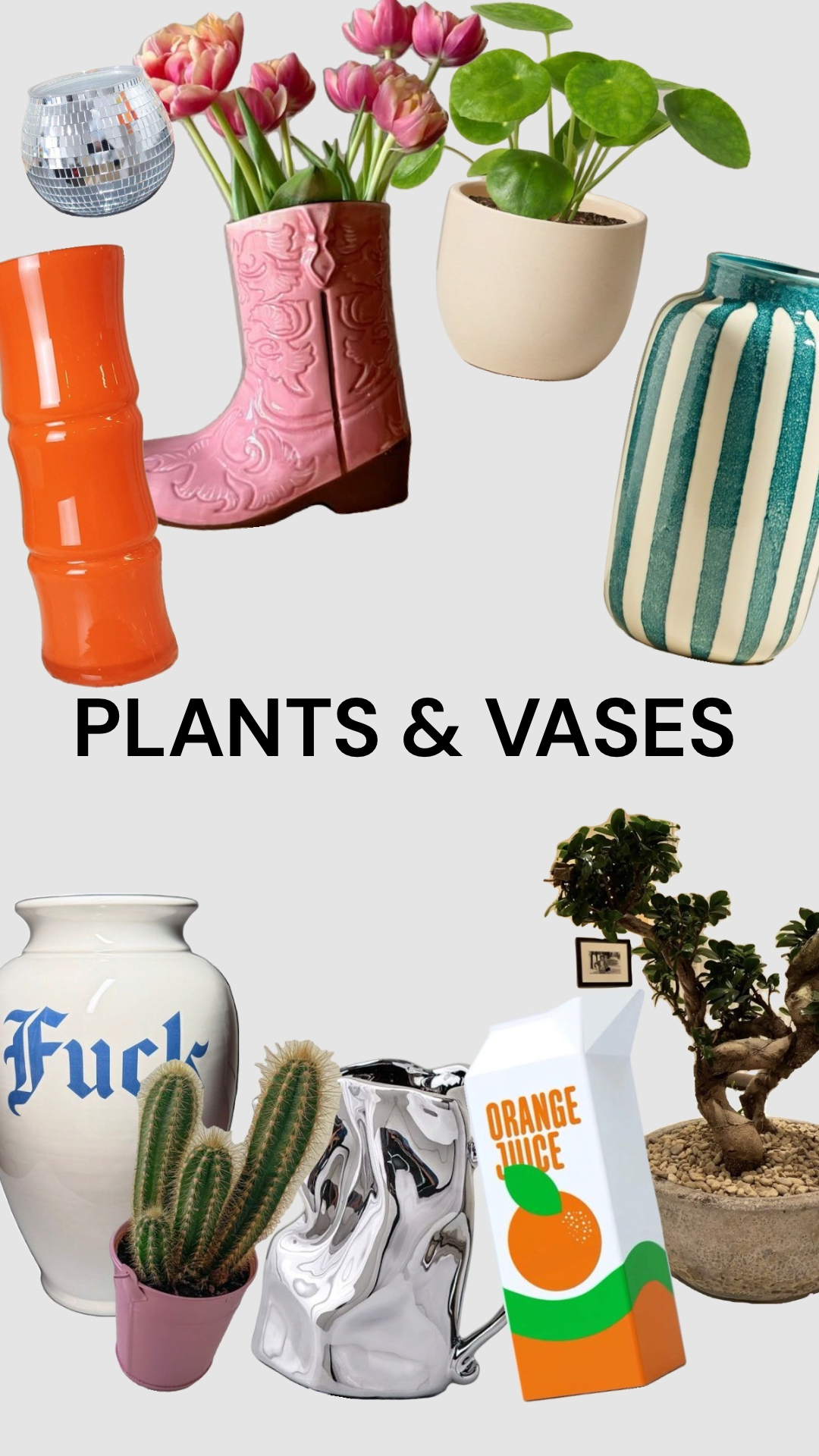 PLANTS & VASES