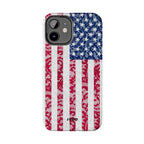 Dentelle USA - Case